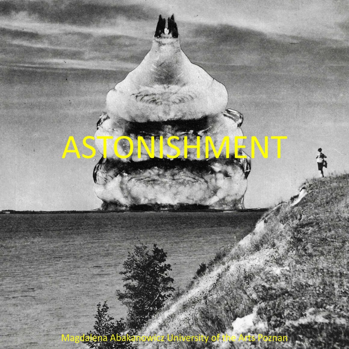 astonishment-pozna-art-week