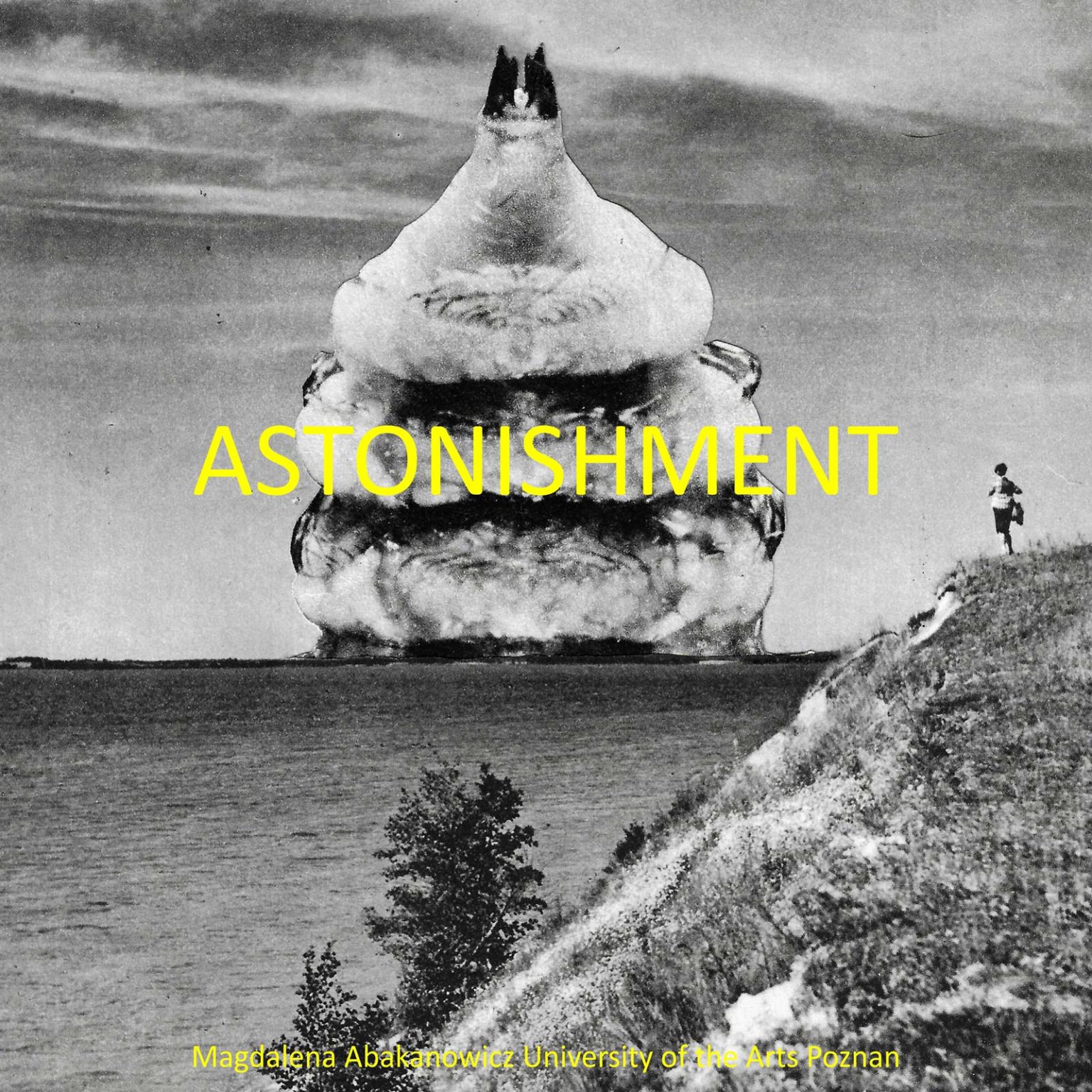 Astonishment Poznań Art Week